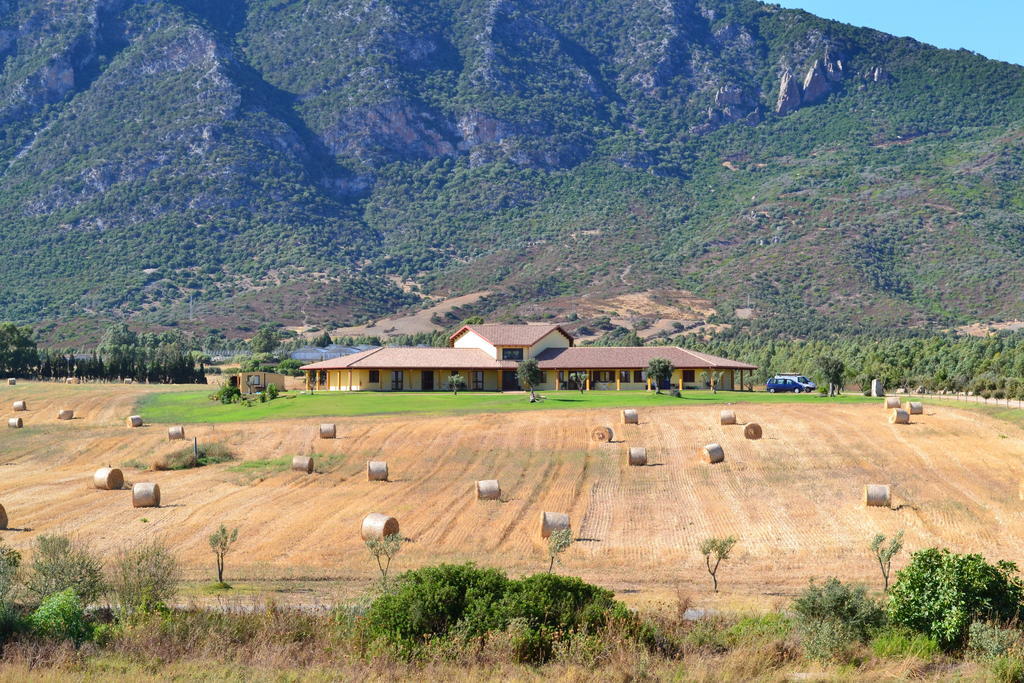 Saludi&Trigu - Rural Apartments Iglesias Exterior photo